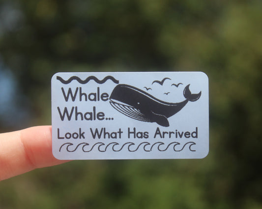 Whale Whale Look What Has Arrived