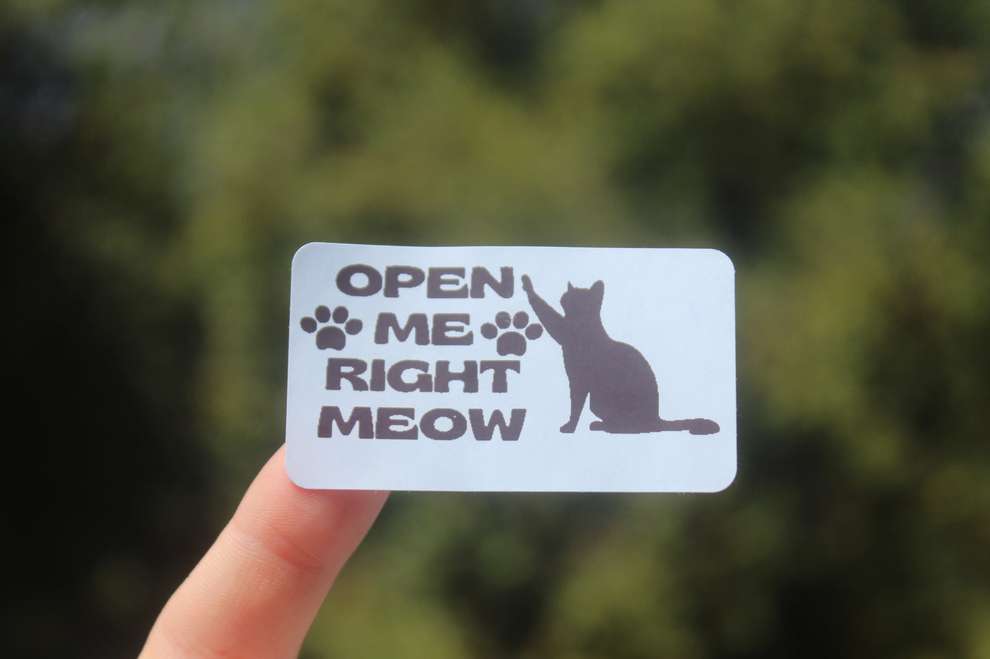 Open Me Right Meow