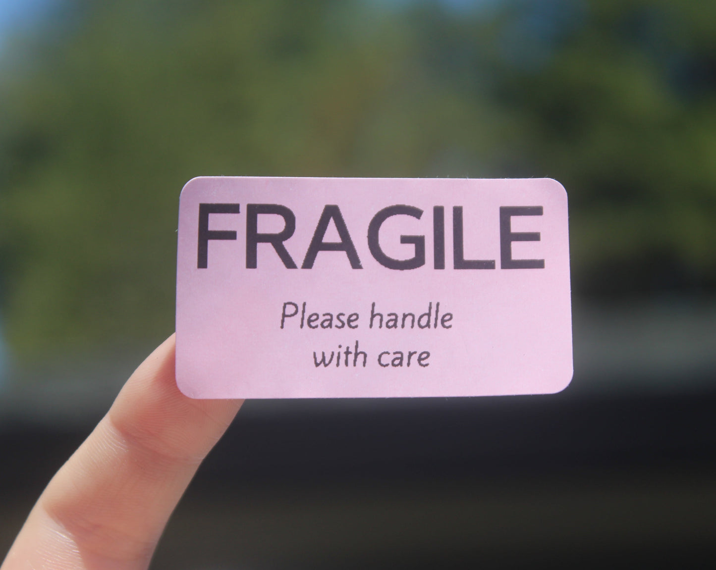 Fragile Please Handle With Care